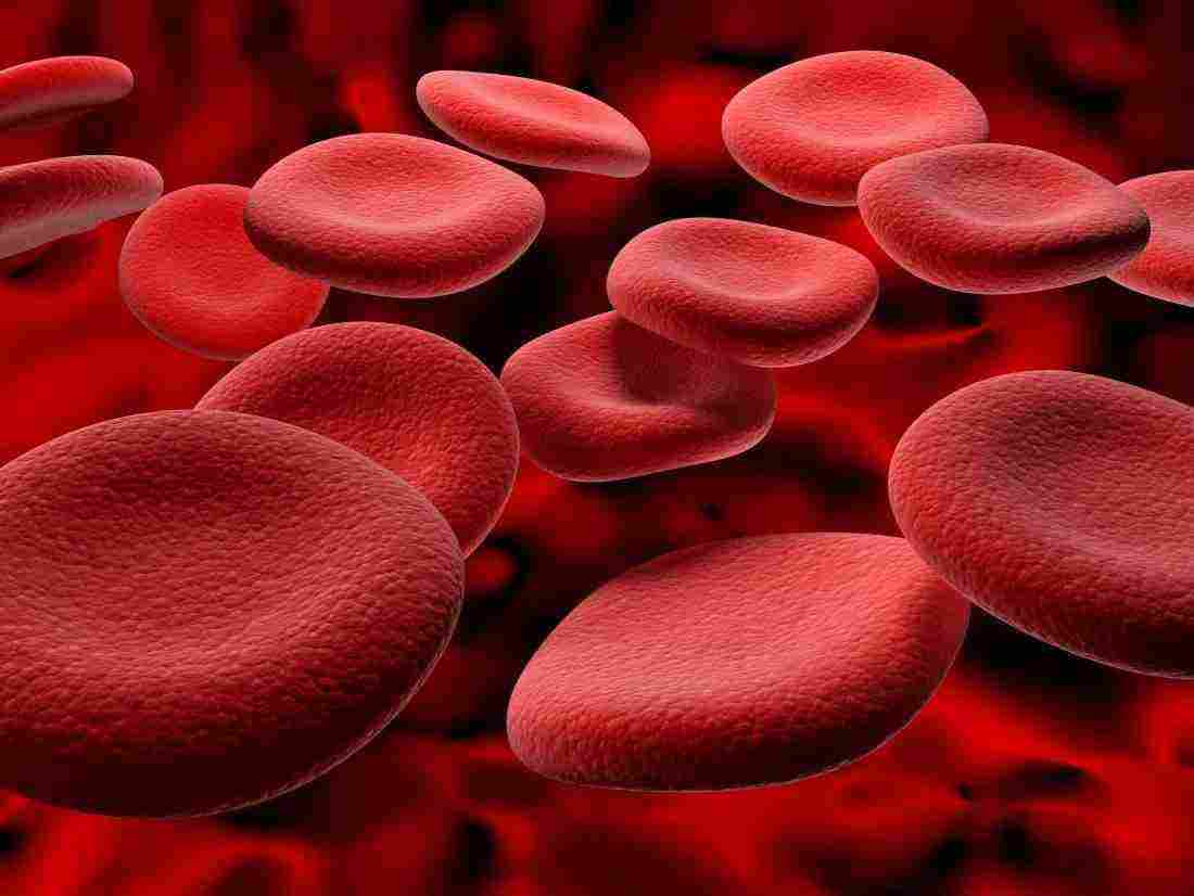 ارتفاع نسبة الهيموجلوبين في الدم العربي أي العربي