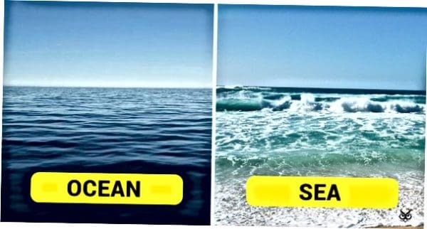 يزداد الفرق بين البحر والمحيط من حيث المساحة والعمق والحياة البحرية
